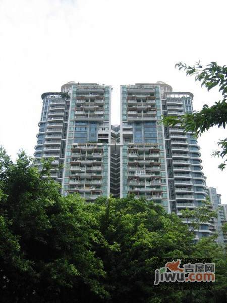 金桃园大厦实景图图片