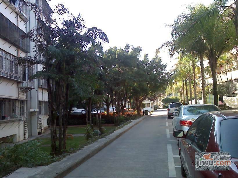 桑达苑实景图图片