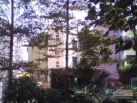 南玻花园实景图图片