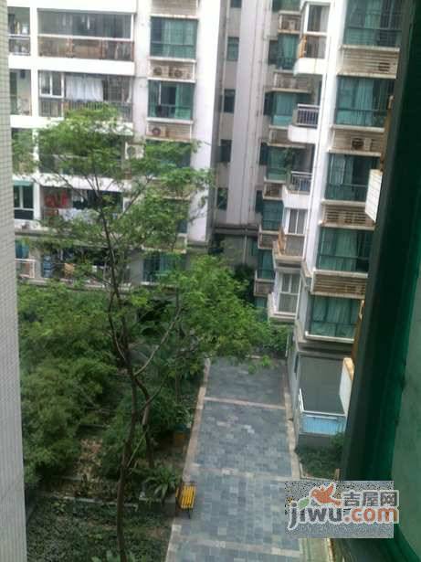阳光荔景实景图图片