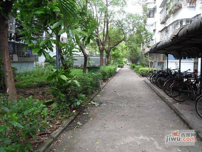 文竹园实景图图片