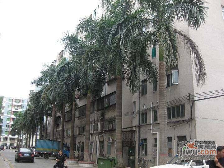 名城花园实景图图片