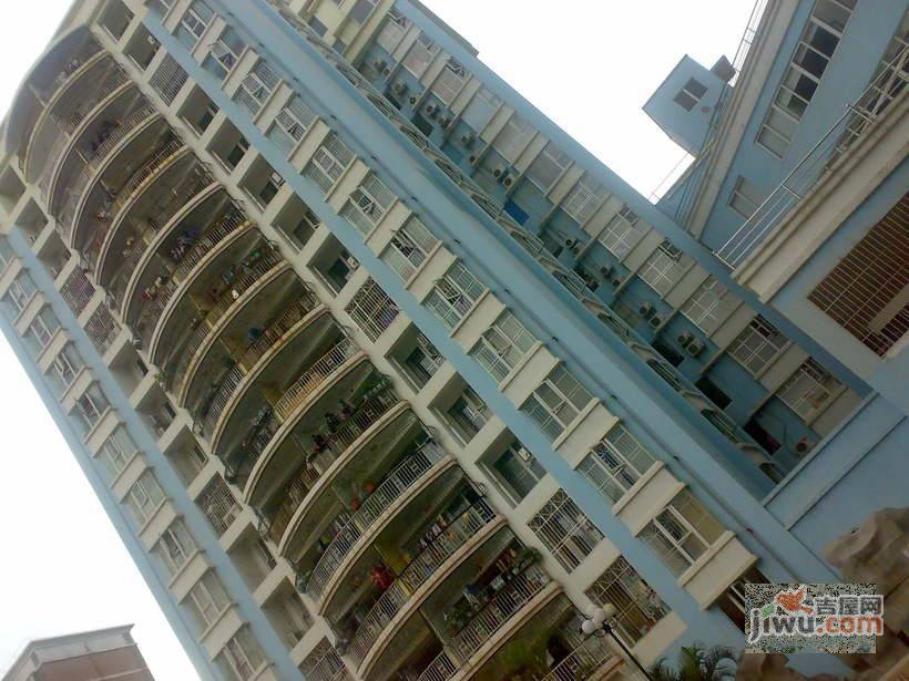 泰安花园实景图图片