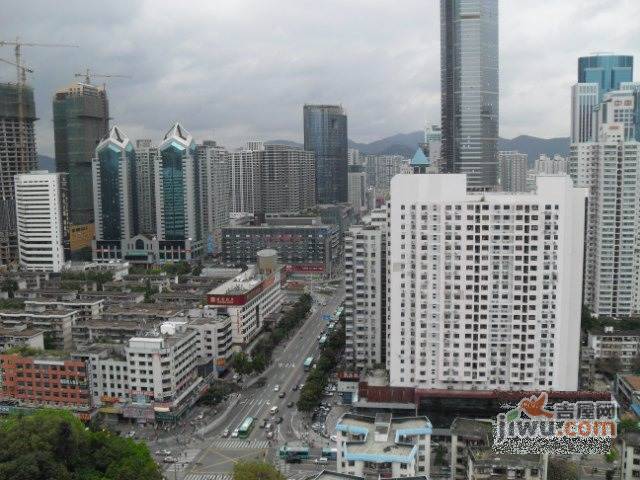五邑大厦实景图图片