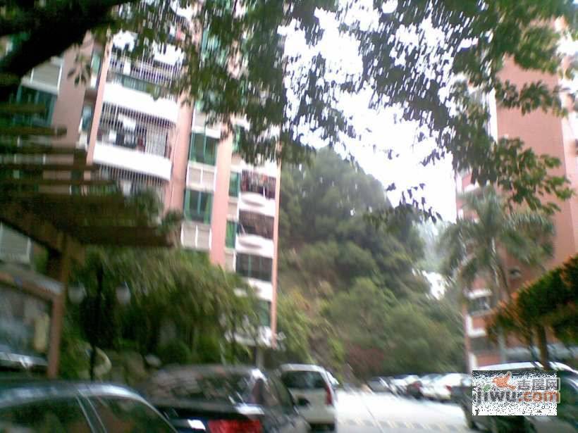 翠景山庄实景图图片