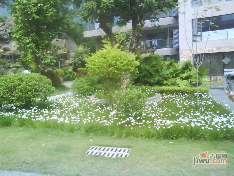 桐林花园实景图图片