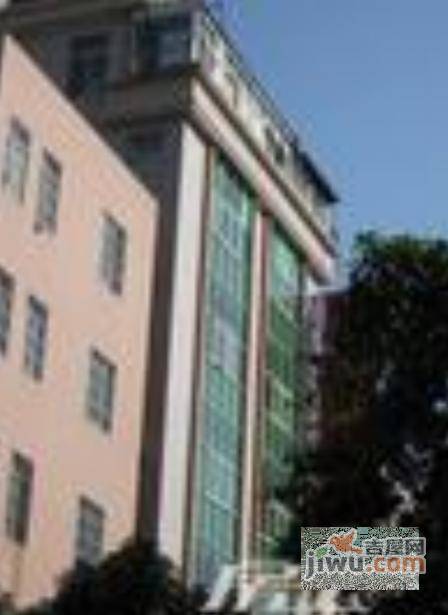 33区商住楼实景图图片