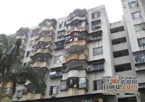 33区商住楼实景图图片
