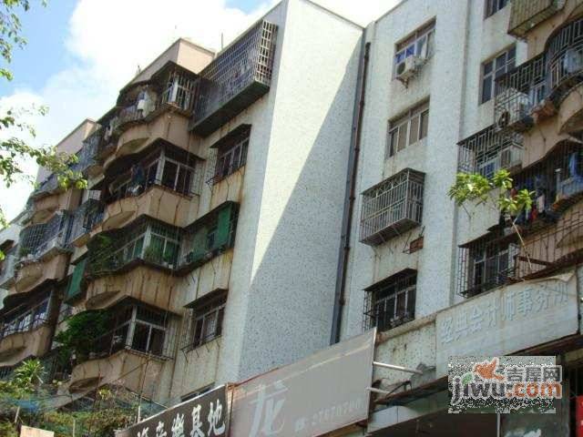 33区商住楼实景图图片
