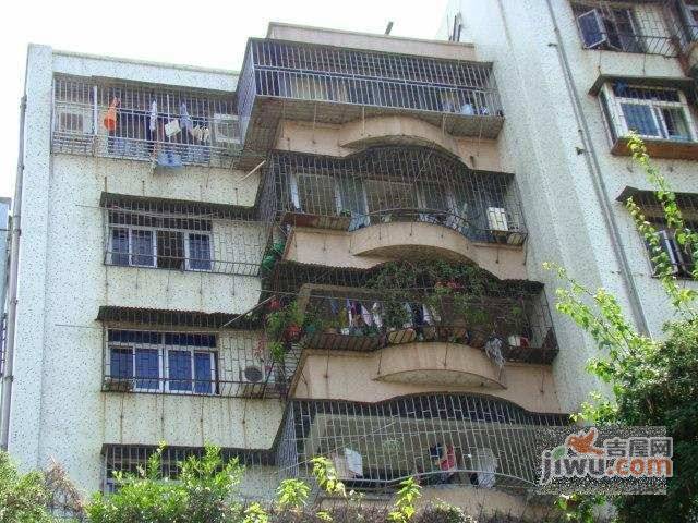 33区商住楼实景图图片