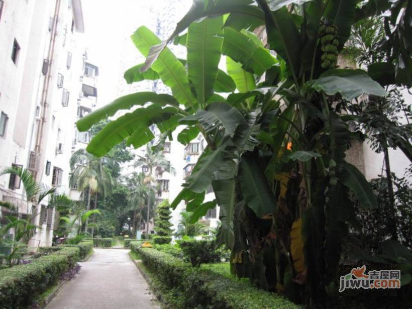 龙城花园实景图图片