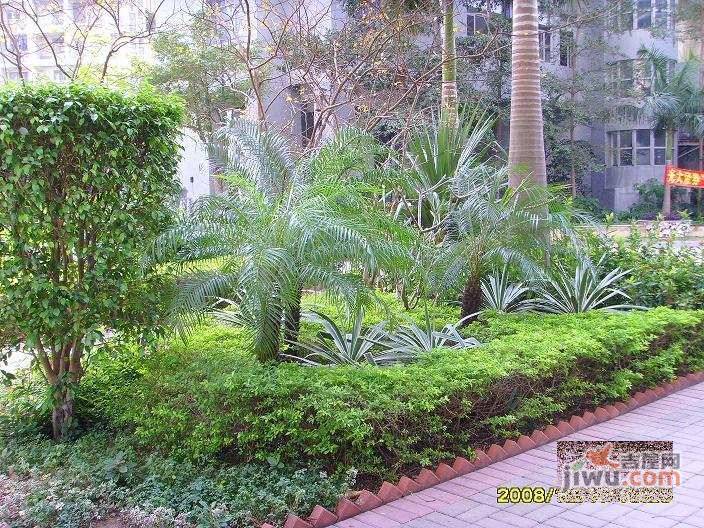 龙城花园实景图图片