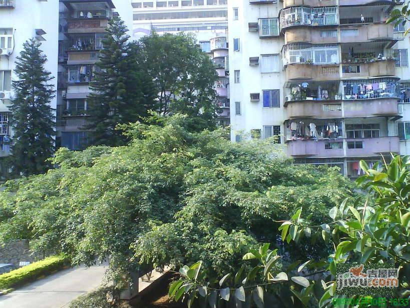 粤海新村实景图图片