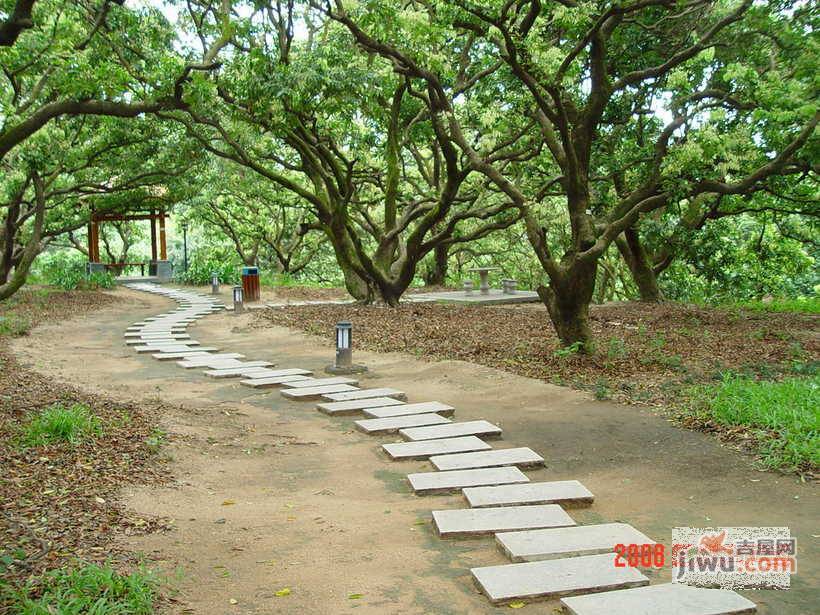 青青山庄实景图图片