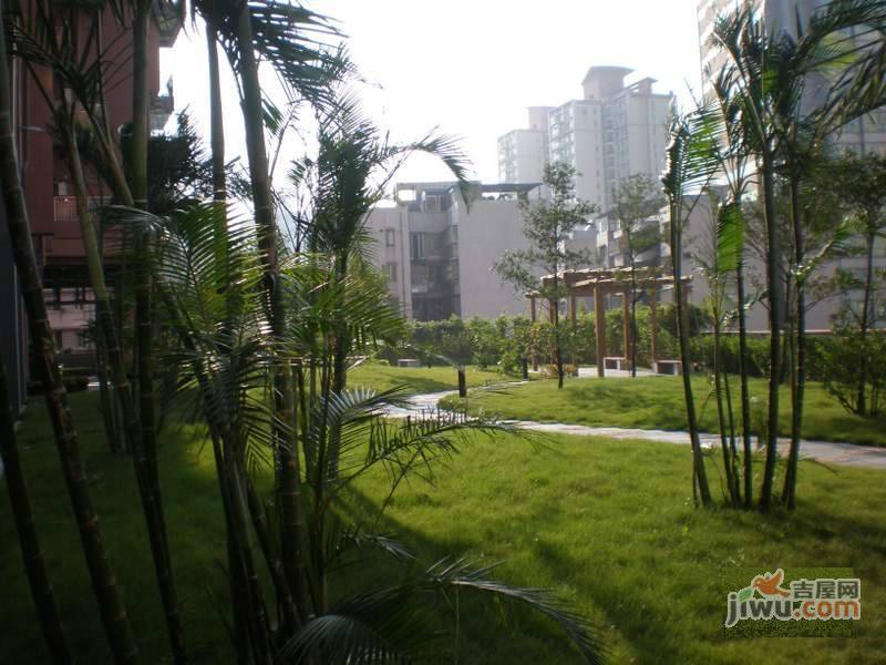 怡海花园实景图图片