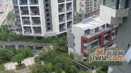 曦湾华府实景图图片