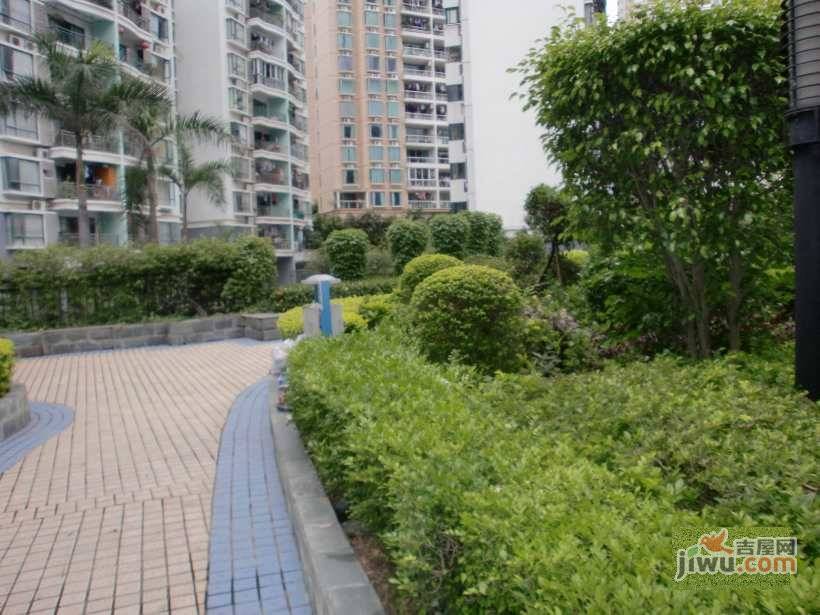 碧海天家园实景图图片