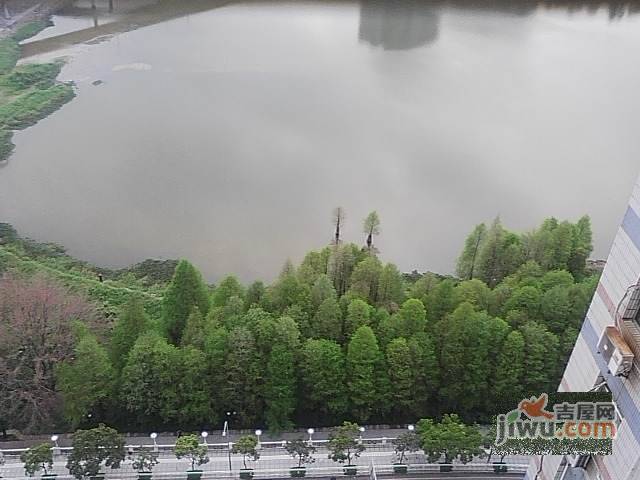 碧湖花园实景图图片