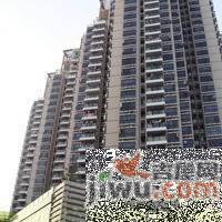 前海金岸实景图图片