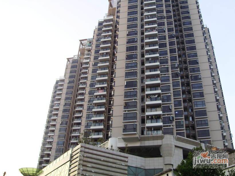 前海金岸实景图图片