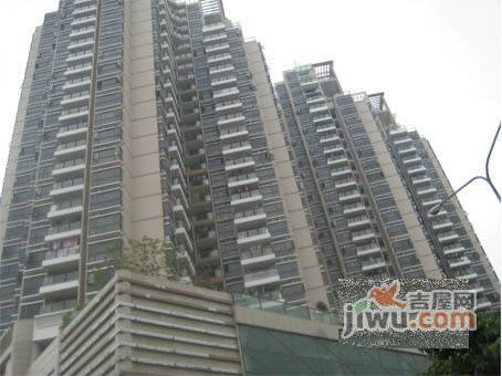 前海金岸实景图图片