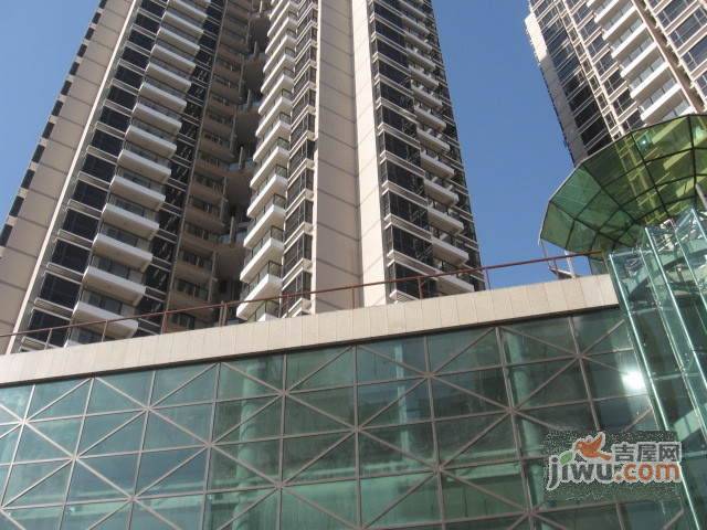 前海金岸实景图图片