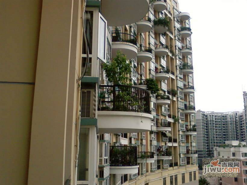 前海金岸实景图图片