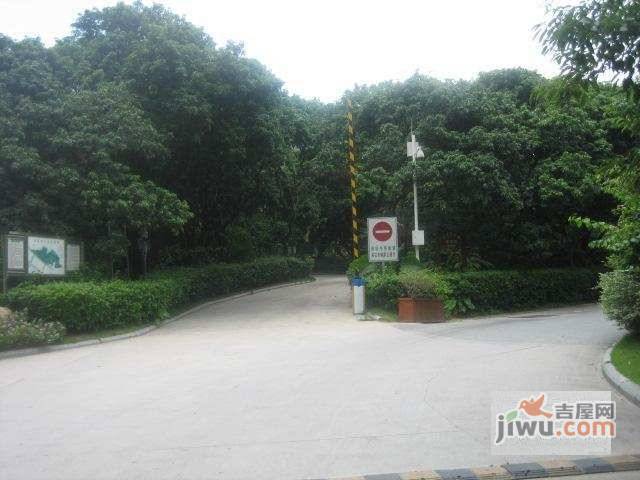 观峰阁实景图图片