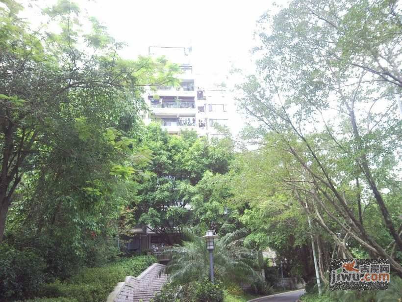 鸣溪谷实景图图片