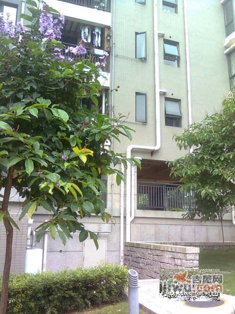 鸣溪谷实景图图片
