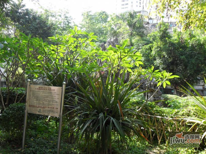 滨江新村实景图图片