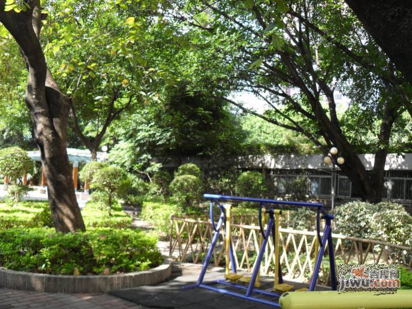 滨江新村实景图图片
