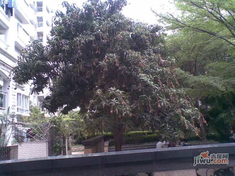 鼎太风华二期实景图图片