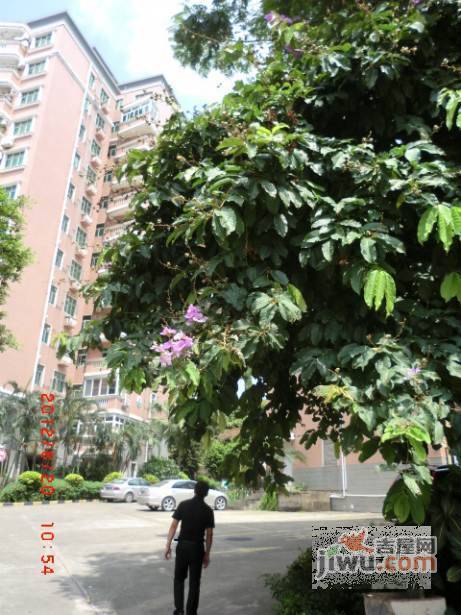 银泉花园实景图图片