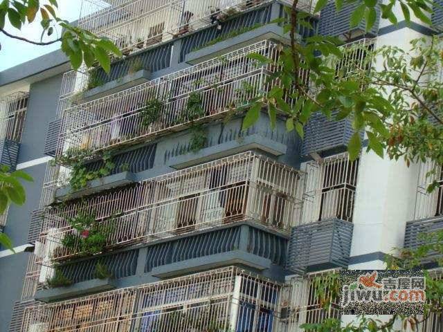 建安花园实景图图片