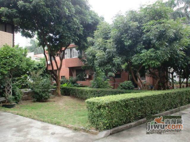 学府路华侨新村实景图图片