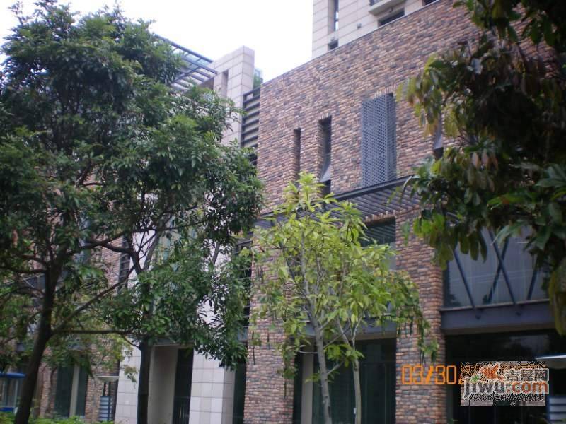 城市山谷花园实景图图片