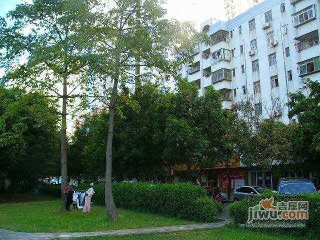 锦洲花园实景图图片