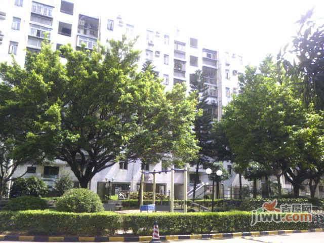 锦洲花园实景图图片