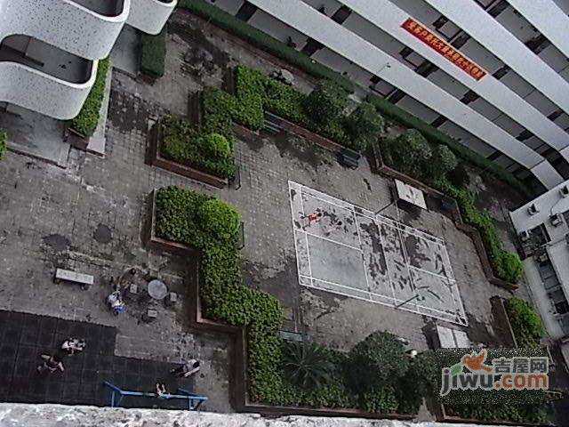 紫薇阁实景图图片