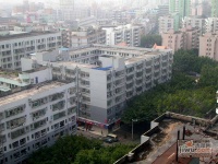 金銮国际公寓实景图图片