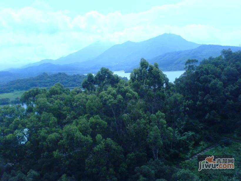 麟腾苑实景图图片