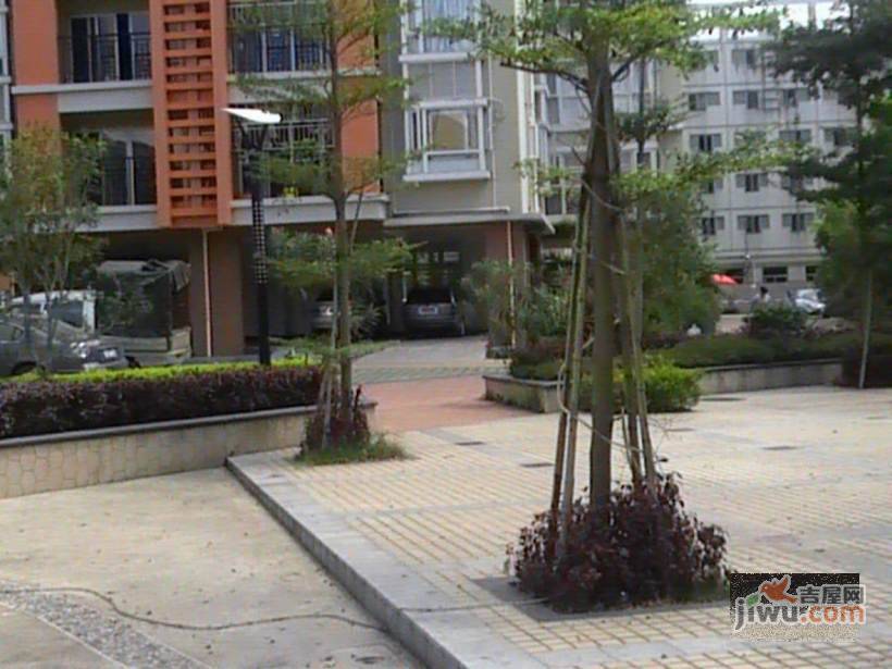 鸿景春天实景图图片