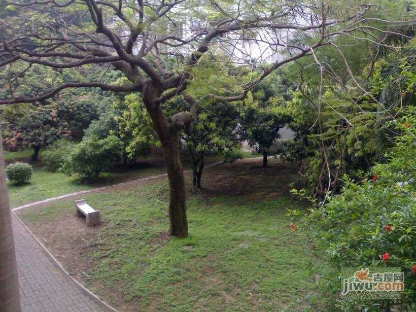 荔枝苑实景图图片