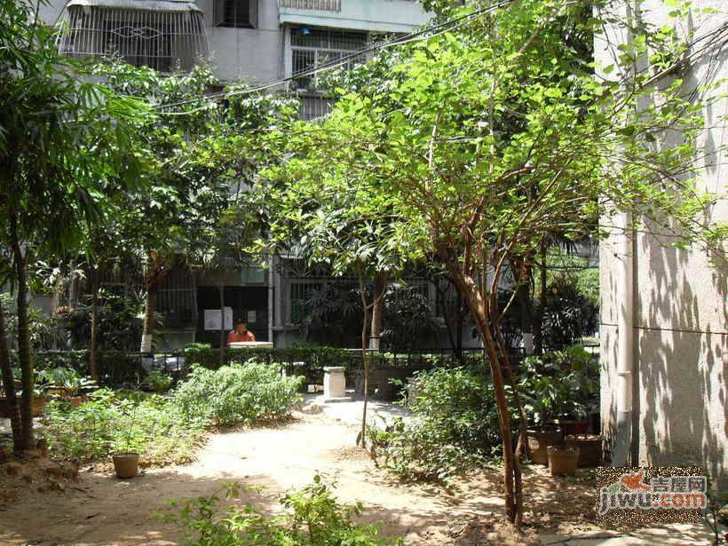 宝民花园实景图图片