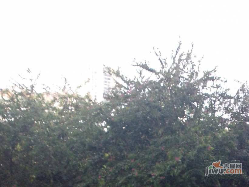 黄埔雅苑翠悠园实景图图片