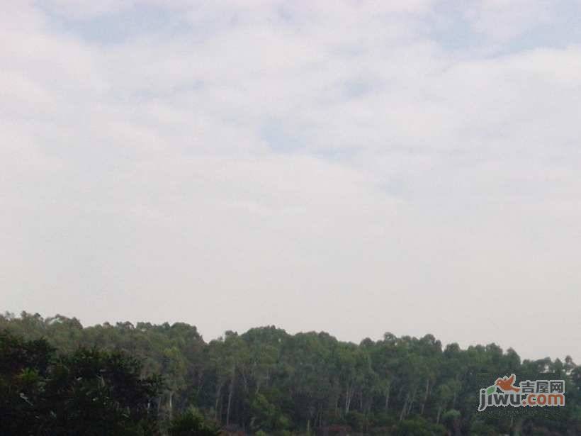 黄埔雅苑翠悠园实景图图片