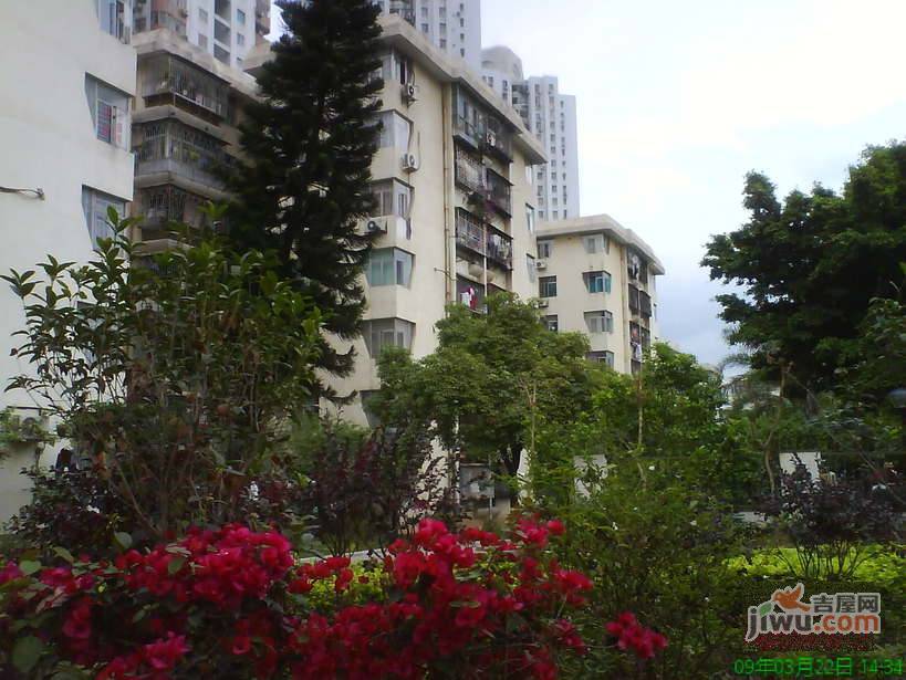 东乐花园实景图图片