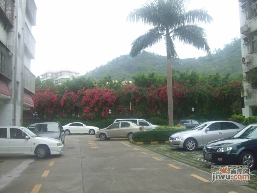 静逸居实景图图片