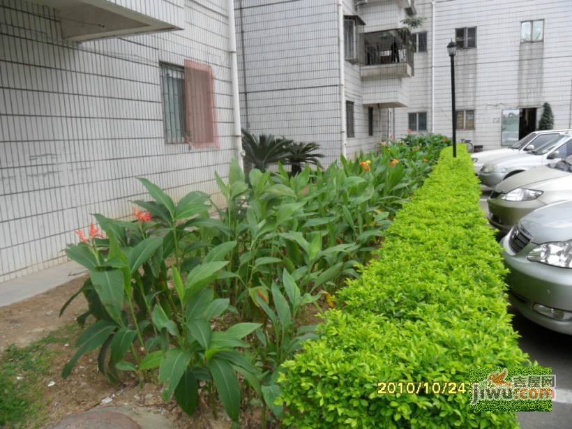 盛龙花园实景图图片